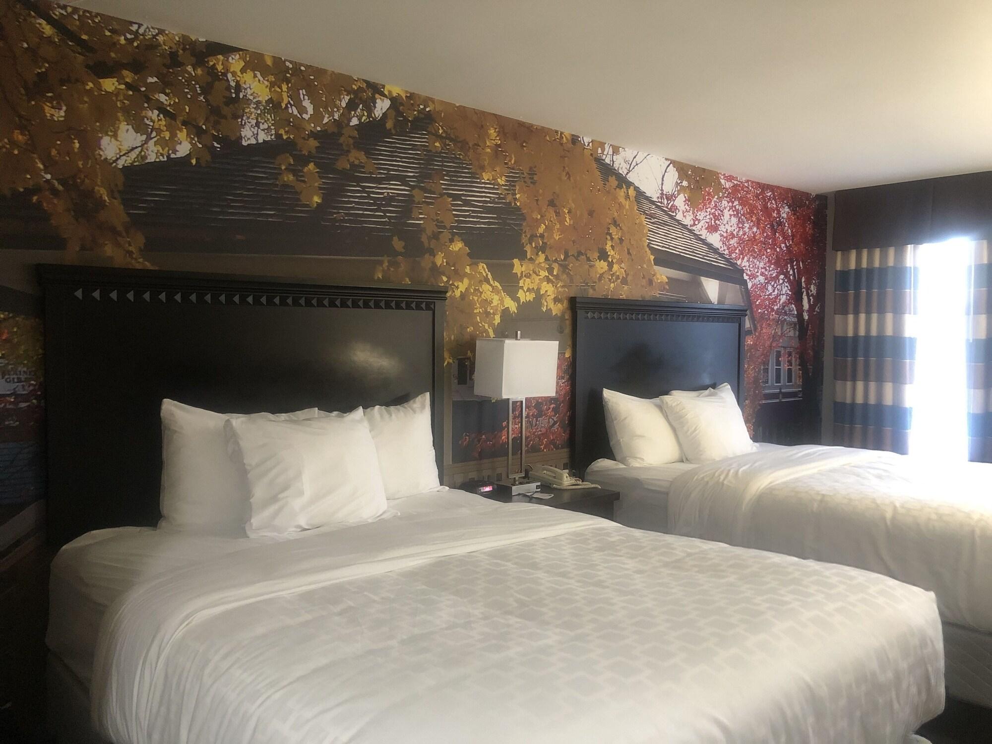 Hotel Surestay By Western 2*